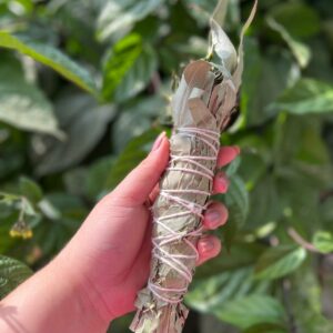 O incenso em bastão natural com ervas é uma opção mais pura e terapêutica, feito apenas com ervas secas, especiarias, flores e frutas, sem carvão ou produtos químicos. Ele é ideal para rituais espirituais e purificação energética. Incenso em bastão para limpeza e descarrego: Ideal para quem deseja uma limpeza, dissipar energias negativas e remover cargas pesadas. Indicado defumar de dentro para fora intencionando a limpeza das energias. Componentes: arruda, eucalipto, aroeira, guiné e vence demanda Incenso feito sob encomenda: pedimos 5 dias para o preparo do seu incenso em bastão.