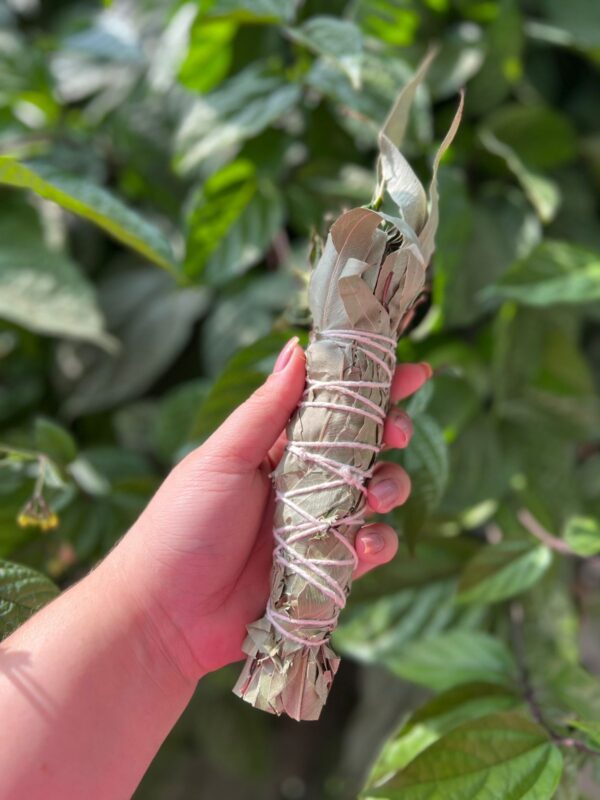 O incenso em bastão natural com ervas é uma opção mais pura e terapêutica, feito apenas com ervas secas, especiarias, flores e frutas, sem carvão ou produtos químicos. Ele é ideal para rituais espirituais e purificação energética. Incenso em bastão para limpeza e descarrego: Ideal para quem deseja uma limpeza, dissipar energias negativas e remover cargas pesadas. Indicado defumar de dentro para fora intencionando a limpeza das energias. Componentes: arruda, eucalipto, aroeira, guiné e vence demanda Incenso feito sob encomenda: pedimos 5 dias para o preparo do seu incenso em bastão.