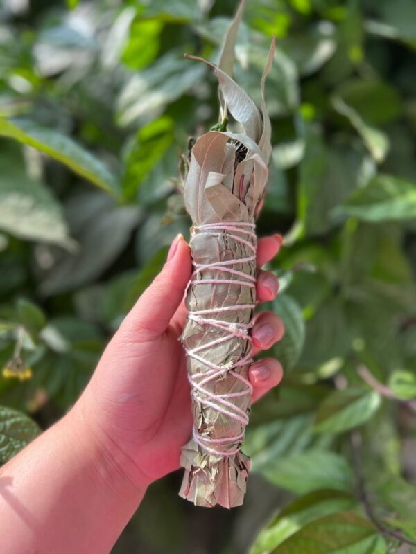 O incenso em bastão natural com ervas é uma opção mais pura e terapêutica, feito apenas com ervas secas, especiarias, flores e frutas, sem carvão ou produtos químicos. Ele é ideal para rituais espirituais e purificação energética. Incenso em bastão para limpeza e descarrego: Ideal para quem deseja uma limpeza, dissipar energias negativas e remover cargas pesadas. Indicado defumar de dentro para fora intencionando a limpeza das energias. Componentes: arruda, eucalipto, aroeira, guiné e vence demanda Incenso feito sob encomenda: pedimos 5 dias para o preparo do seu incenso em bastão.