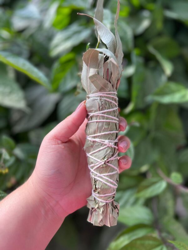 O incenso em bastão natural com ervas é uma opção mais pura e terapêutica, feito apenas com ervas secas, especiarias, flores e frutas, sem carvão ou produtos químicos. Ele é ideal para rituais espirituais e purificação energética. Incenso em bastão para limpeza e descarrego: Ideal para quem deseja uma limpeza, dissipar energias negativas e remover cargas pesadas. Indicado defumar de dentro para fora intencionando a limpeza das energias. Componentes: arruda, eucalipto, aroeira, guiné e vence demanda Incenso feito sob encomenda: pedimos 5 dias para o preparo do seu incenso em bastão.