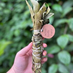 Incenso em bastão para limpeza e descarrego: Ideal para quem deseja uma limpeza, dissipar energias negativas e remover cargas pesadas rosa verde