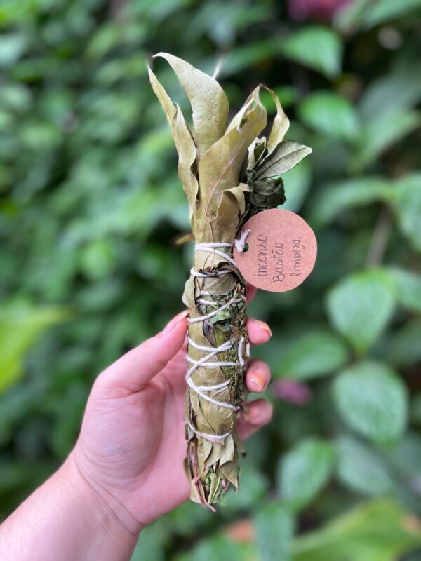 Incenso em bastão para limpeza e descarrego: Ideal para quem deseja uma limpeza, dissipar energias negativas e remover cargas pesadas rosa verde