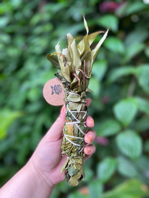 Incenso em bastão para limpeza e descarrego: Ideal para quem deseja uma limpeza, dissipar energias negativas e remover cargas pesadas rosa verde