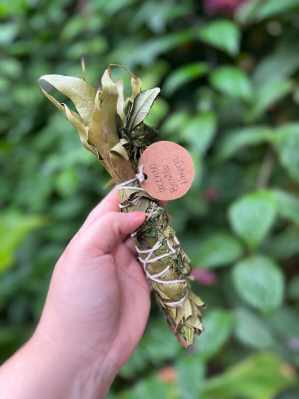 Incenso em bastão para limpeza e descarrego: Ideal para quem deseja uma limpeza, dissipar energias negativas e remover cargas pesadas rosa verde