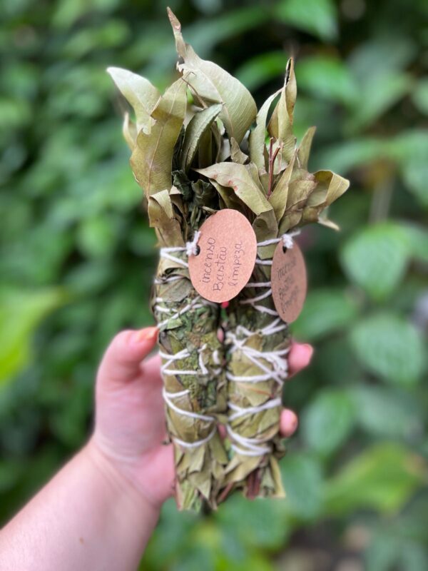 Incenso em bastão para limpeza e descarrego: Ideal para quem deseja uma limpeza, dissipar energias negativas e remover cargas pesadas rosa verde