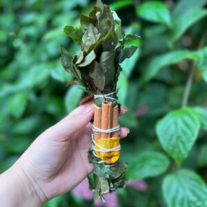 Incenso em bastão para prosperidade é ideal para quem deseja fluidez, vitalidade no ambiente e movimento da energia positivarosa verde