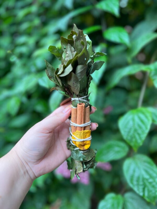Incenso em bastão para prosperidade é ideal para quem deseja fluidez, vitalidade no ambiente e movimento da energia positivarosa verde