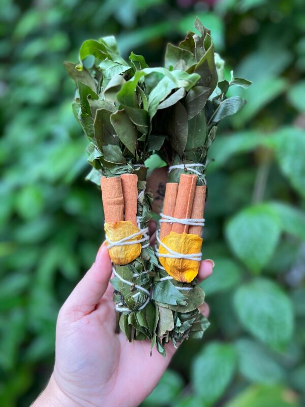 Incenso em bastão para prosperidade é ideal para quem deseja fluidez, vitalidade no ambiente e movimento da energia positivarosa verde