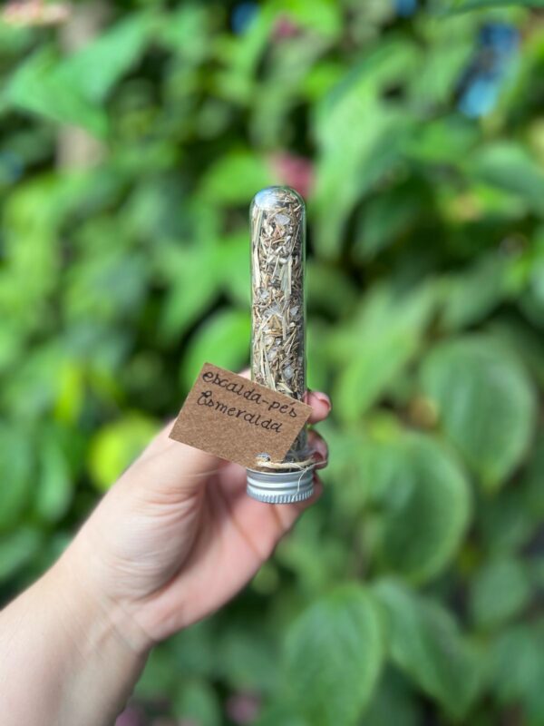 Escalda-pés para relaxamento proteção e energização - Rosa Verde