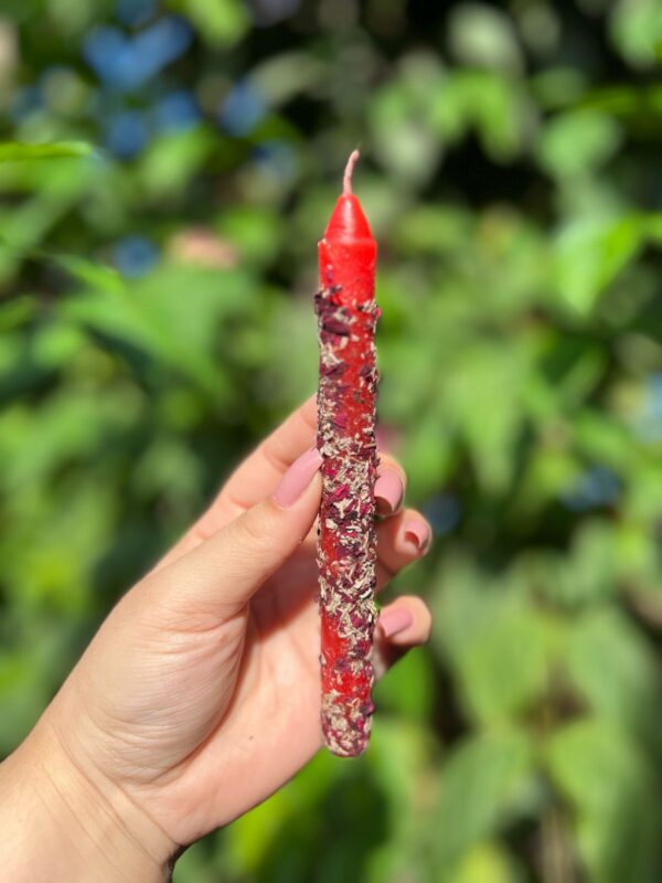 Vela Maria Padilha: ideal para quem deseja conexão com o feminino e poder pessoal. A vela que nos nos traz a força visceral, conexão com as ancestrais e nós aproxima de nossa essência rosa verde