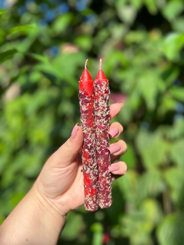 Vela Maria Padilha: ideal para quem deseja conexão com o feminino e poder pessoal. A vela que nos nos traz a força visceral, conexão com as ancestrais e nós aproxima de nossa essência rosa verde