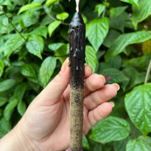 Vela mágica proteção: Ideal para quem deseja proteção espiritual, limpeza energética e rompimento de laços negativos rosa verde