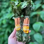 A Rosa Verde é um espaço de conexão com a natureza, a beleza e a espiritualidade. Nossa loja oferece produtos cuidadosamente selecionados para promover equilíbrio, bem-estar e harmonia interior. Aqui, cada detalhe é pensado para inspirar transformação, acolhimento e energia positiva no seu caminho. Rosa verde