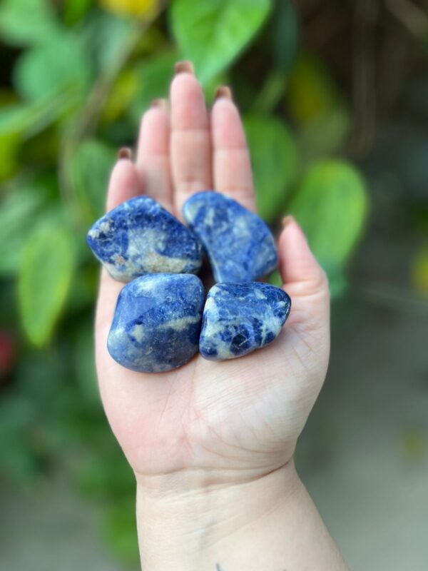 Unidade de pedra rolada de sodalita, idela para quem precisa de foco, clareza mental, ajuda nos estudos e equilíbrio de pensamentos. Rosa Verde