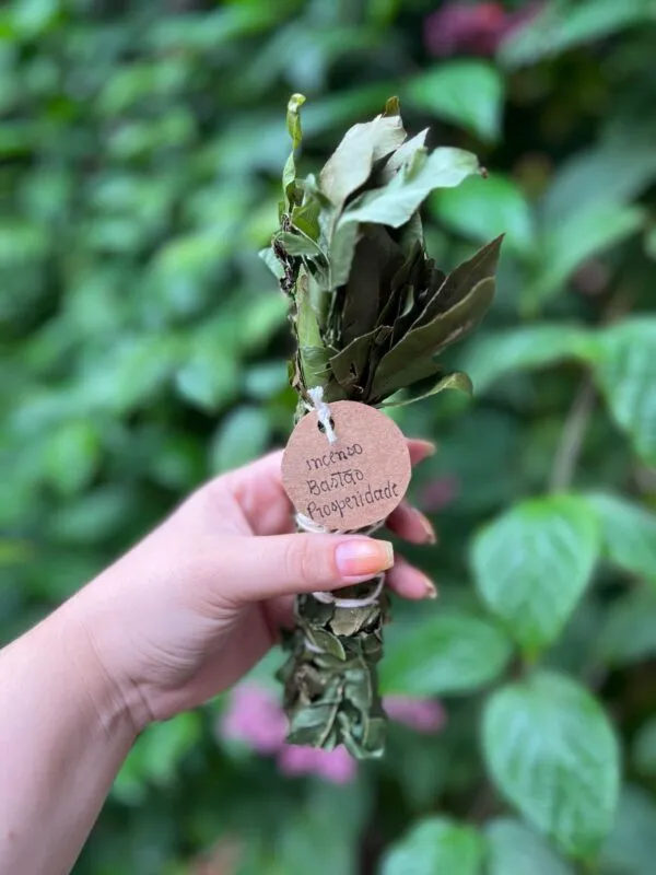 Incenso em bastão para prosperidade é ideal para quem deseja fluidez, vitalidade no ambiente e movimento da energia positivarosa verde