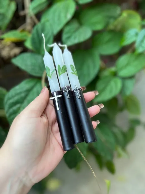 Vela de preto Velho consagrado em ritual a eles. Acender uma vela para Preto Velho é um ato de fé, respeito e conexão espiritual. Os Pretos Velhos são entidades de luz, sabedoria e humildade. Usar vela preta e branca (bicolor), símbolo do equilíbrio espiritual, ou só preta (em alguns terreiros), quando se pede limpeza profunda e firmeza. Segunda-feira é o dia mais associado aos Pretos Velhos, mas você pode acender em qualquer dia, com fé e respeito. Eles trabalham principalmente na cura emocional e espiritual, no aconselhamento e na limpeza de caminhos.